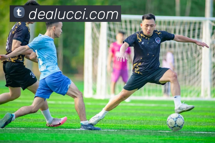 hth体育网页入口服务体系